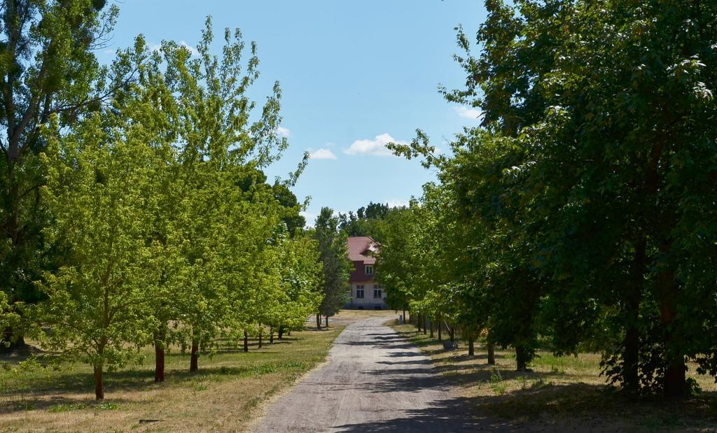 Gospodarstwo Nad Jeziorem Zalom  Exterior foto
