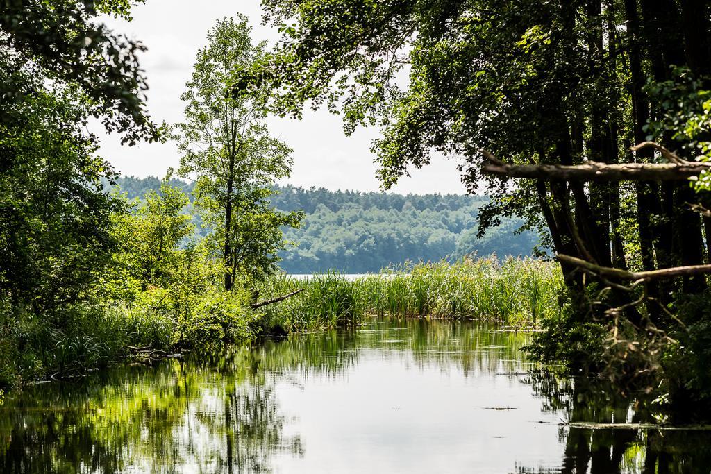 Gospodarstwo Nad Jeziorem Zalom  Exterior foto
